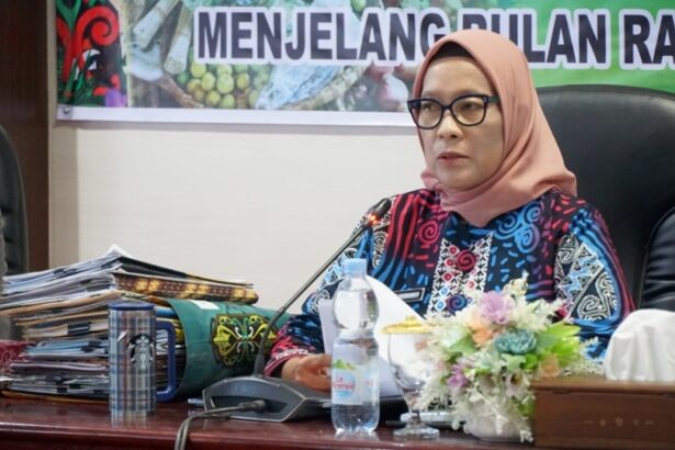 Pj Wali Kota Palangka Raya, Hera Nugrahayu