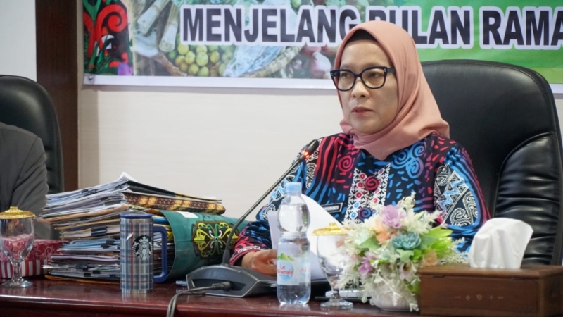 Pj Wali Kota Palangka Raya, Hera Nugrahayu