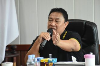 Wagub Kalteng Pimpin Rakor Tpid.jpg