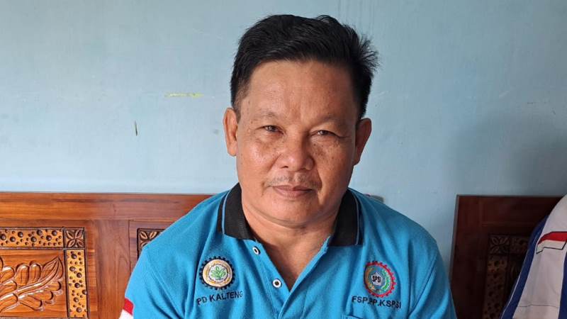 Ketua Fd Fsp Pp Kspsi Nasarie