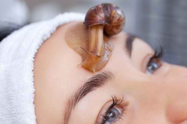 Manfaat Lendir Siput Atau Snail Mucin