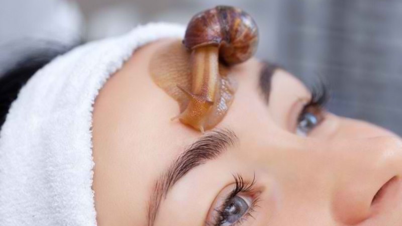 Manfaat Lendir Siput Atau Snail Mucin