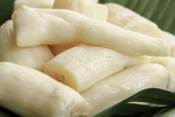 Manfaat Tape Singkong