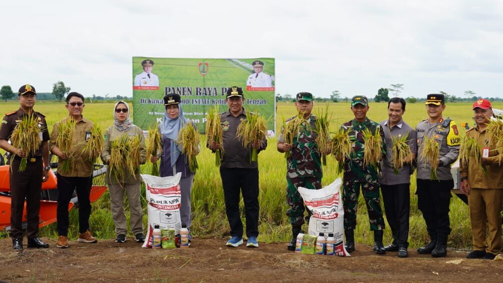 Wagub Kalteng Panen Raya Di Pulang Pisau