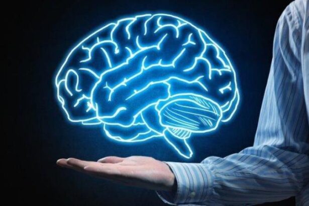 ilustrasi fungsi otak