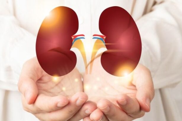 Ilustrasi Gejala Infeksi Ginjal
