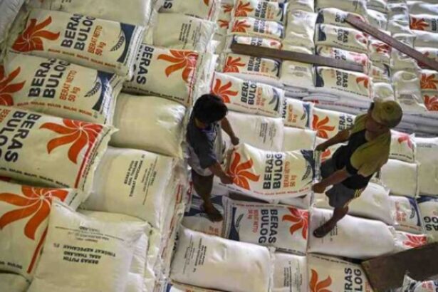 kebutuhan beras program makan siang gratis