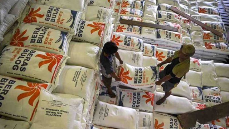 kebutuhan beras program makan siang gratis