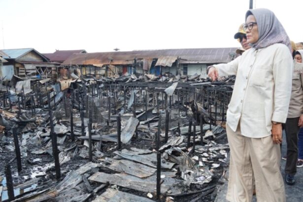 Pj Wali Kota Palangka Raya, Hera Nugrahayu meninjau lokasi kebakaran di Jalan Rindang Banua Kota Palangka Raya, Senin (8/4/2024).