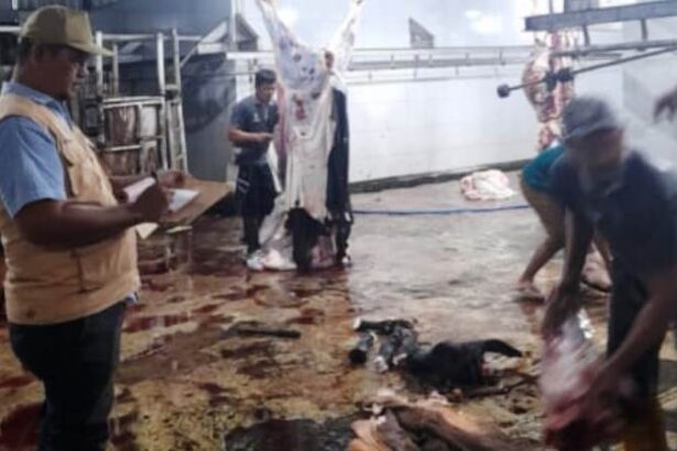 Satgas Halal Kalteng