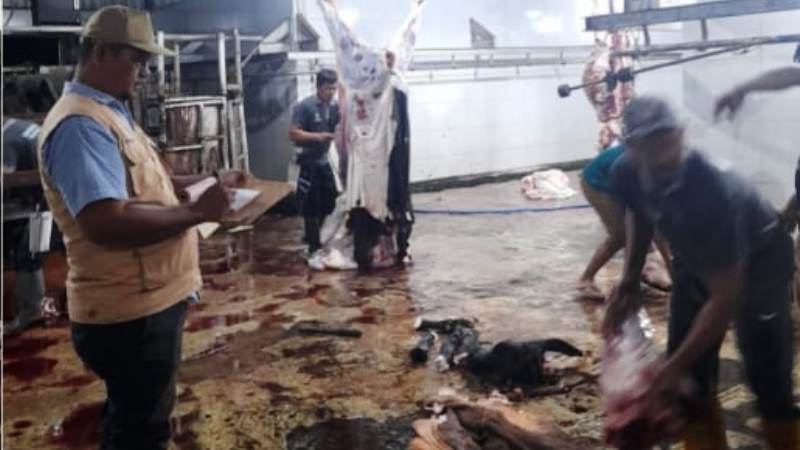 Satgas Halal Kalteng