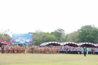 27052024102411 1