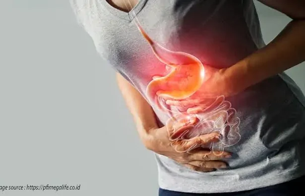 Images 2024 05 15t113154.284