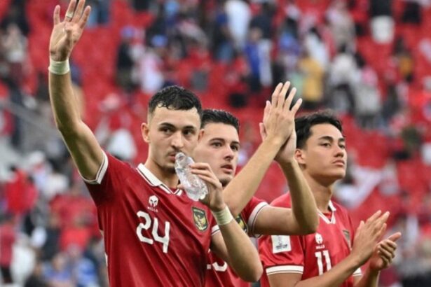 Pemain Naturalisasi Timnas Indonesia