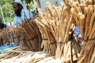 Sejarah Siwak Sunah Nabi Muhammad Saw
