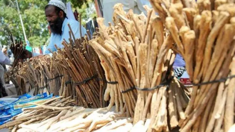 Sejarah Siwak Sunah Nabi Muhammad Saw