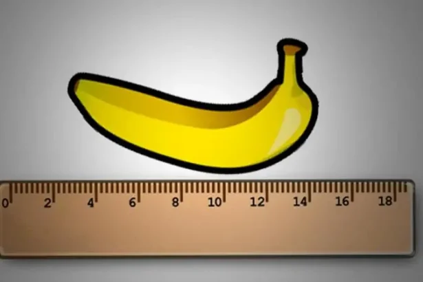 Ilustrasi Ukuran Penis