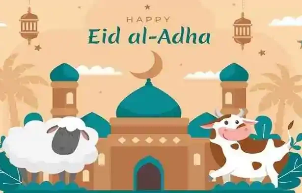 Img 20240609 065651440