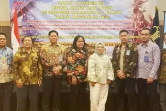 Mpdn