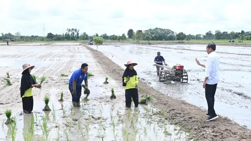 Presiden Jokowi Di Sampit