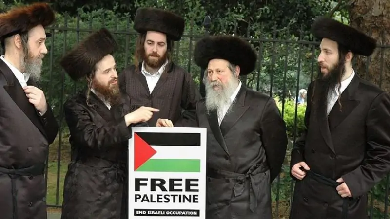 Yahudi Anti Zionis Dukung Palestina