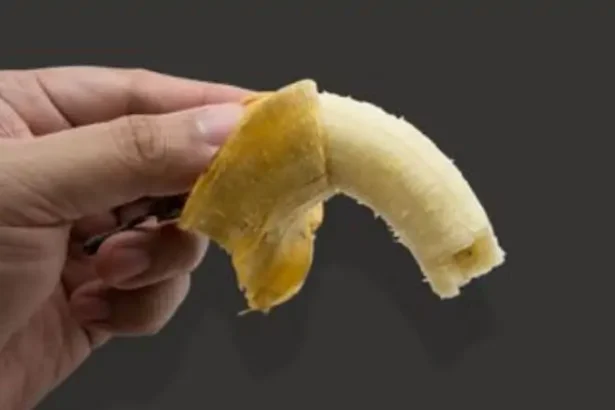 Ilustrasi Durasi Ereksi