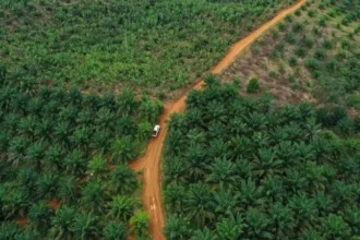 Keterlanjuran Lahan Sawit