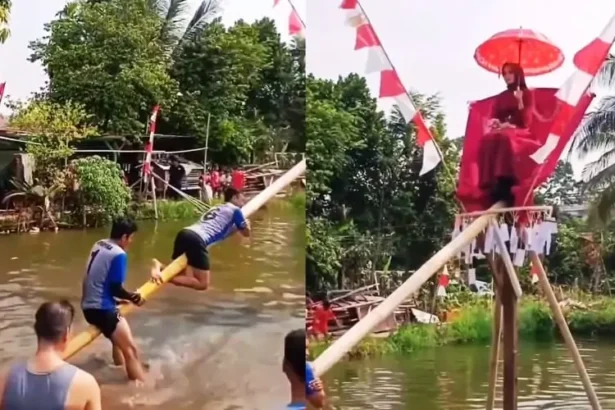 Panjat Pinang Berhadiah Janda Muda