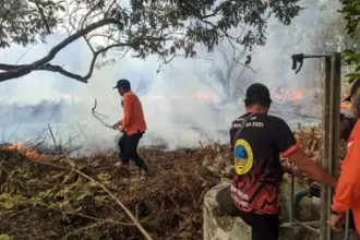 Kejadian Kebakaran Hutan Dan Lahan Karhutla Di Kota Palangka Raya Kembali Meningkat Dalam Sepekan Terakhir 169