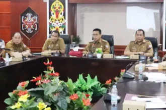 Mcp Kpk