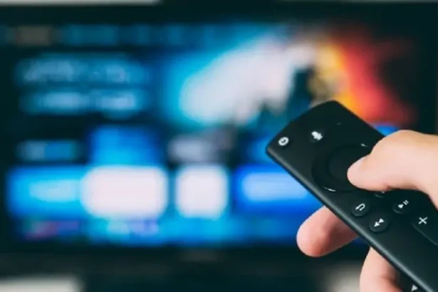 Artis Korea Termahal