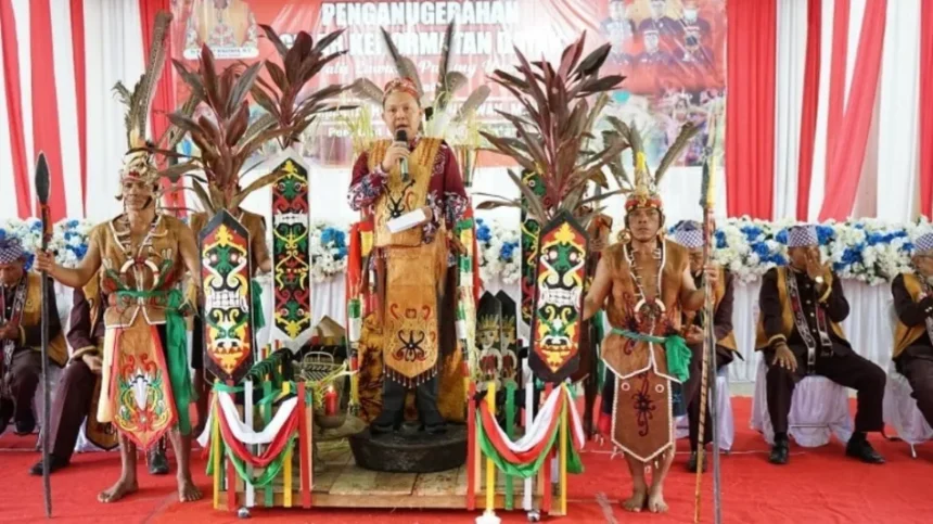 Img 20241014 142505924