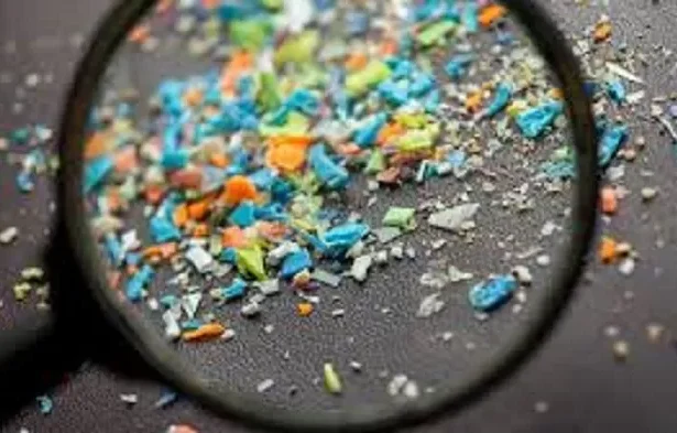 Mikroplastik 1495009051