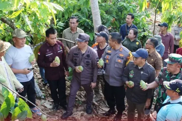 Petani Kakao