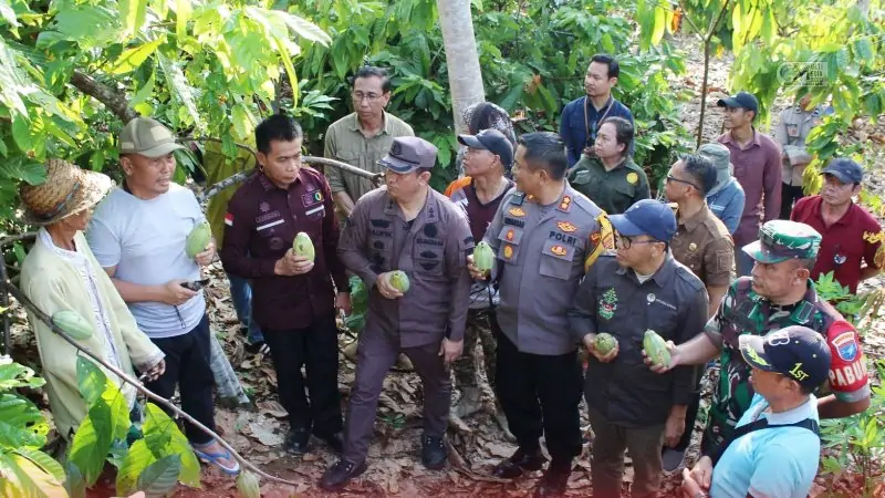 Petani Kakao