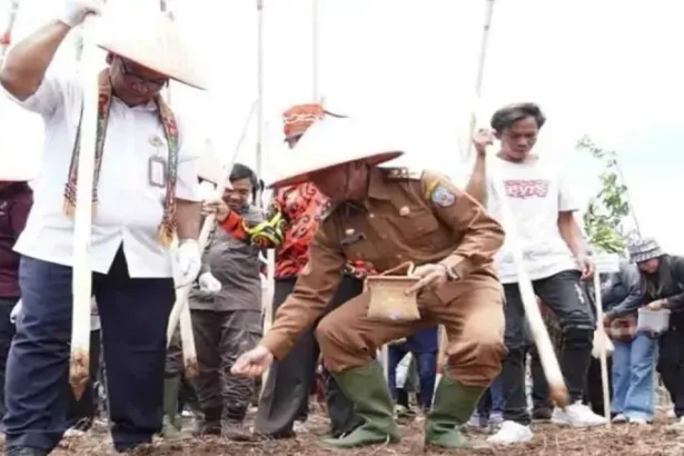 Pemerintah Kabupaten Murung Raya, menyediakan lahan seluas 10.000 hektare, sebagai upaya meningkatkan produksi pertanian, khususnya tanaman padi jenis Gogo.