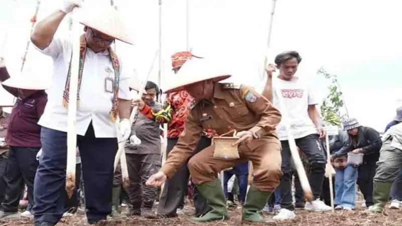 Pemerintah Kabupaten Murung Raya, menyediakan lahan seluas 10.000 hektare, sebagai upaya meningkatkan produksi pertanian, khususnya tanaman padi jenis Gogo.