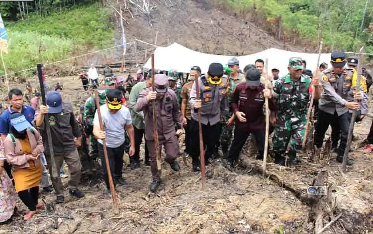 Penjabat (Pj) Bupati Murung Raya (Mura), Hermon, bersama Gubernur Kalimantan Tengah (Kalteng), Sugianto Sabran, melaksanakan penanaman Padi Gogo di ladang tradisional masyarakat Kecamatan Laung Tuhup, akhir pekan lalu.