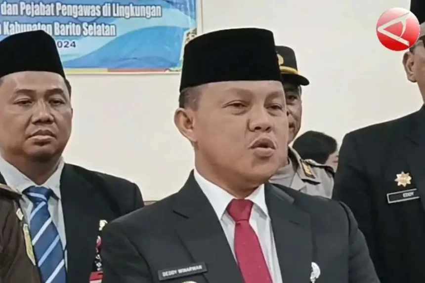 Img 20241116 095842541