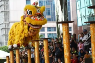 Atraksi Barongsai
