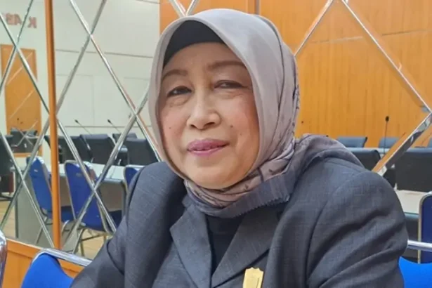 Ketua Dprd Barut Mery