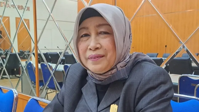 Ketua Dprd Barut Mery
