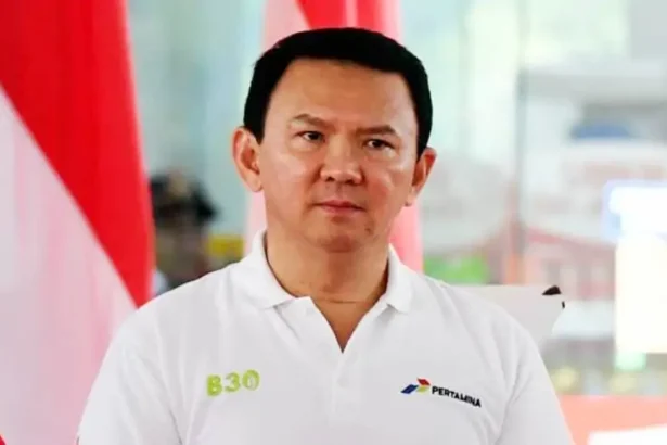Ahok Basuki Tjahaja Purnama