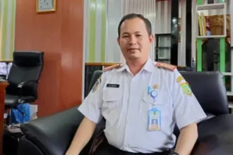 M Taufik