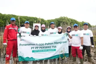 Ptpp Hijaukan Pesisir Tambakrejo Dengan 1.000 Mangrove