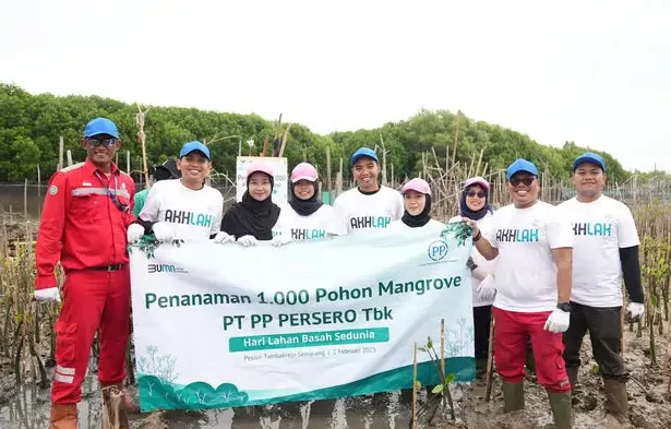 Ptpp Hijaukan Pesisir Tambakrejo Dengan 1.000 Mangrove