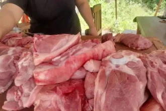 Alasan Kenapa Daging Babi Haram
