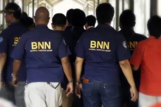 Bnn