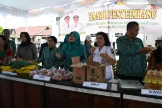 Pasar Penyeimbang Barsel