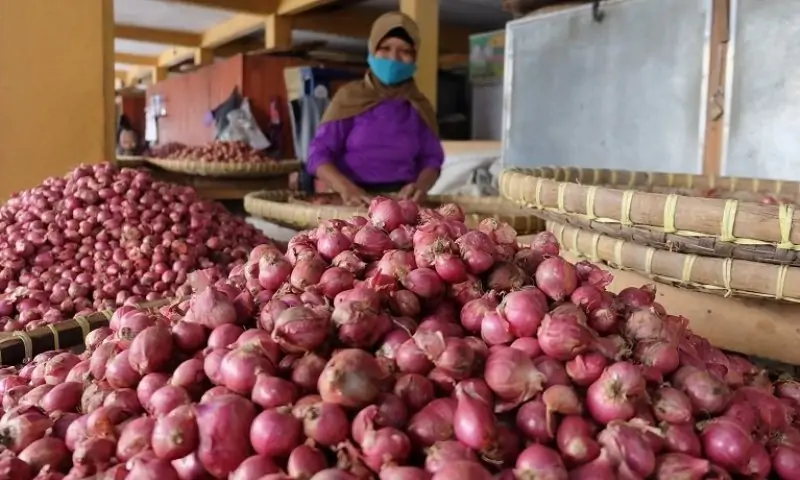 Bawang Merah